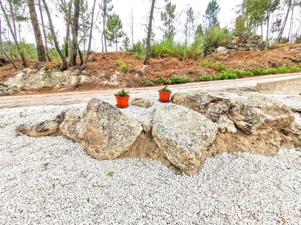 O Refugio Βίλα Κοΐμπρα Εξωτερικό φωτογραφία