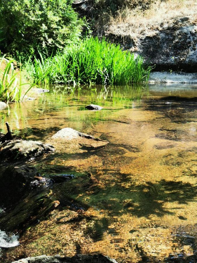 O Refugio Βίλα Κοΐμπρα Εξωτερικό φωτογραφία