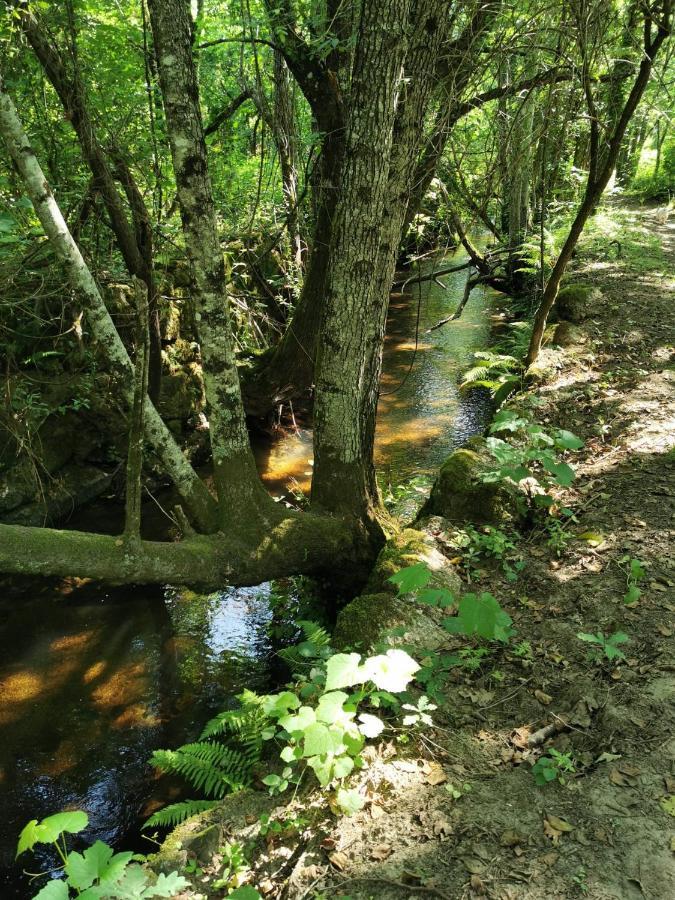 O Refugio Βίλα Κοΐμπρα Εξωτερικό φωτογραφία